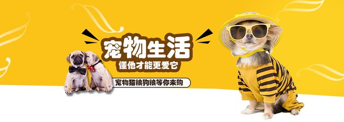 比特币钱包安卓版
